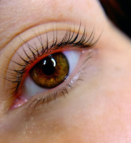 Lash lifting